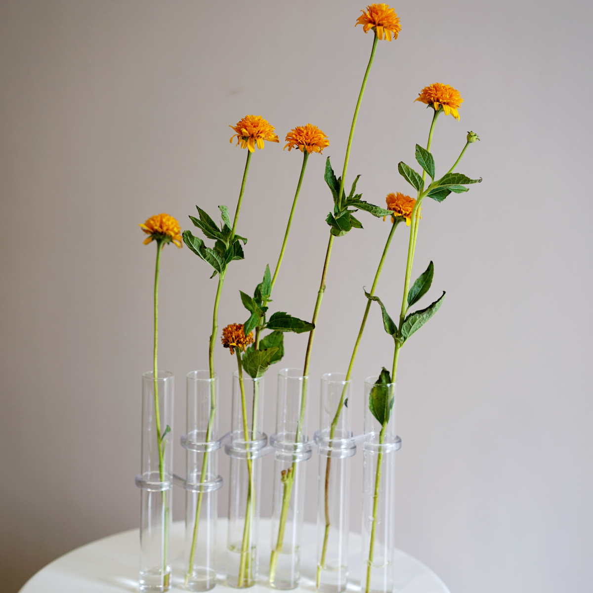 Configurable Glass Tube Vase